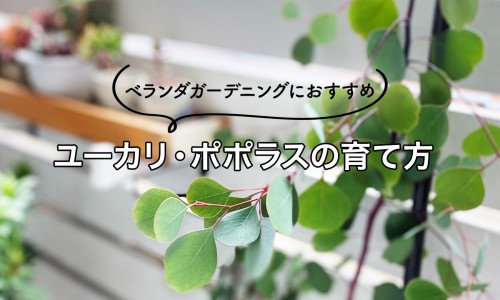 茵胆平肝胶囊会导致大便颜色加深吗-吃茵胆平肝胶囊拉肚子网 | 吃了茵胆平肝胶囊后大便多,吃茵胆平肝胶囊拉肚子正常吗